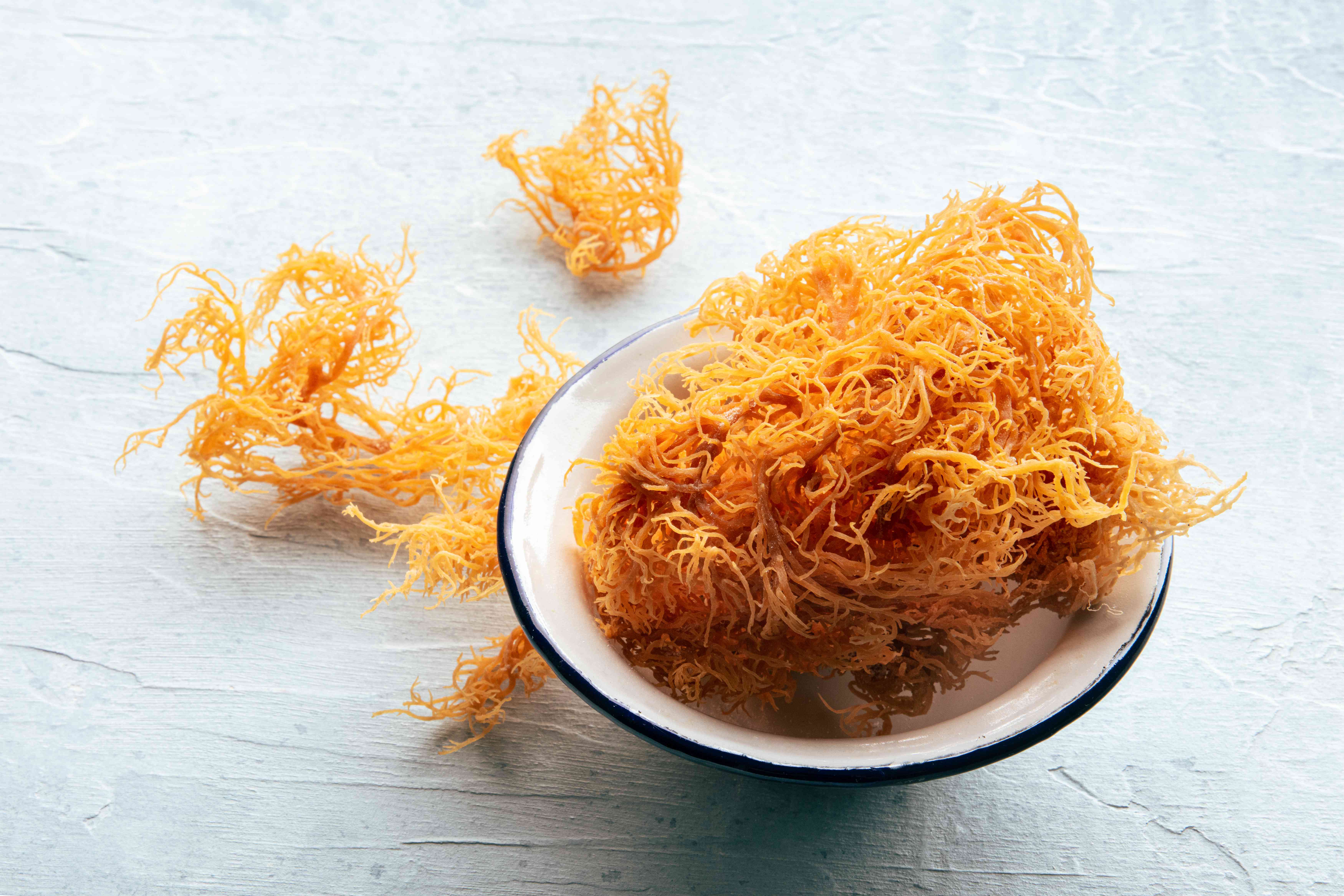 What Is Sea Moss? 7 Amazing Benefits and How to Use It
