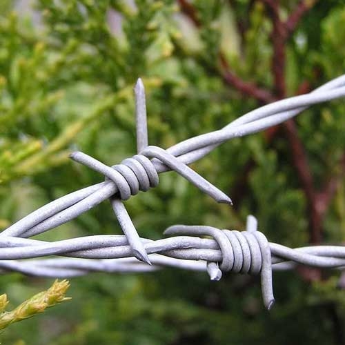 How Are Barbed Wire Fence Manufacturers Helping Secure Critical Sites?