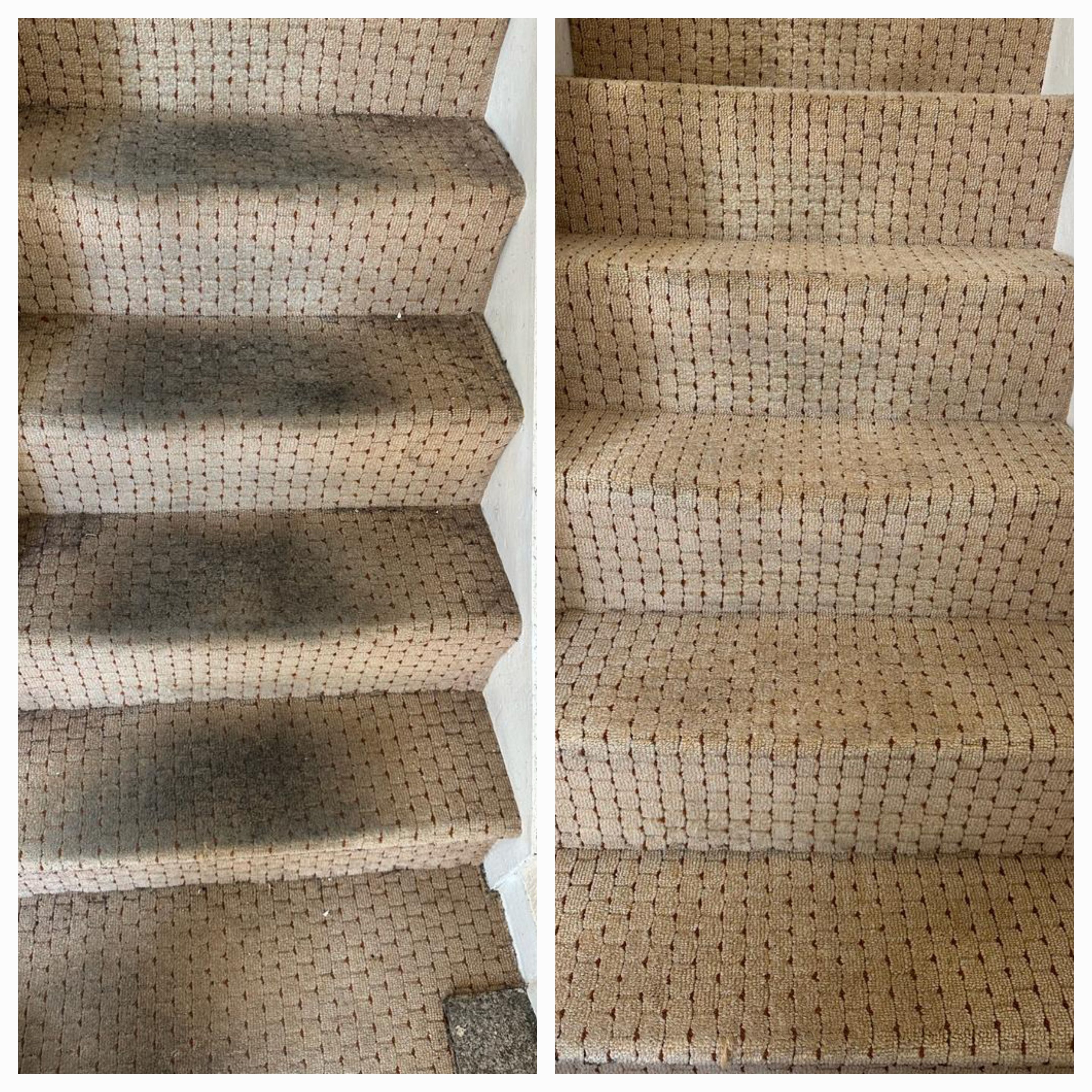 The Danger Of Dusty Carpets