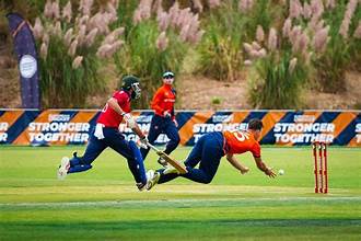 The Ultimate Guide to Finding the Best Cricket Shop Germany