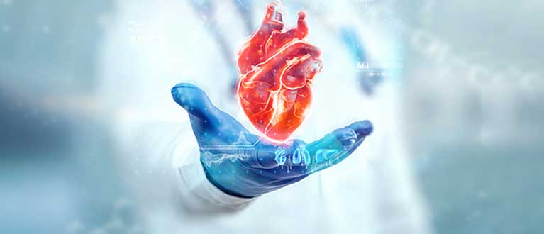 Should You See A Cardiologist If You Have High Cholesterol?