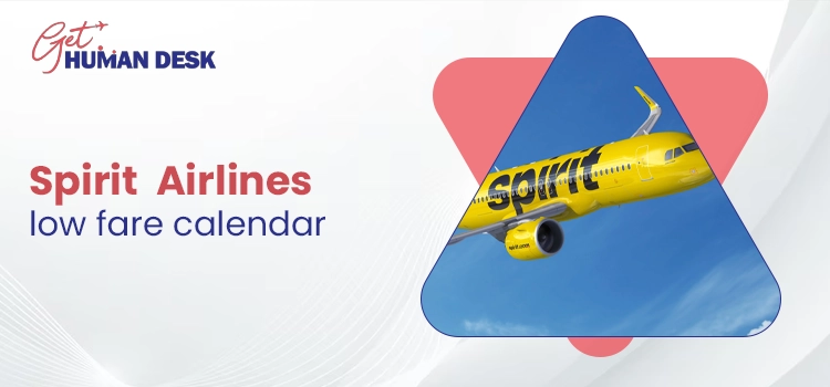Does the Spirit Airlines Low Fare Calendar Work for One-Way Trips?