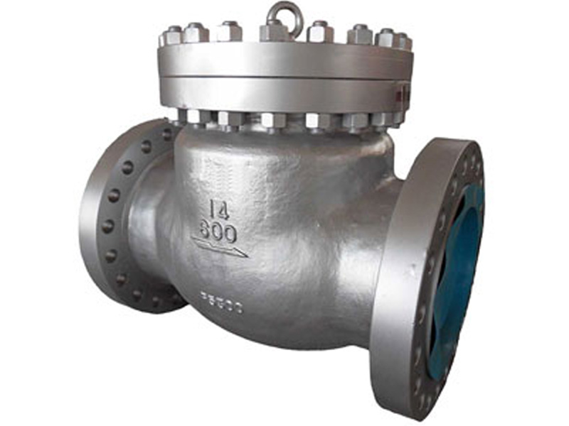 Cryogenic Check Valve Manufacturers in India