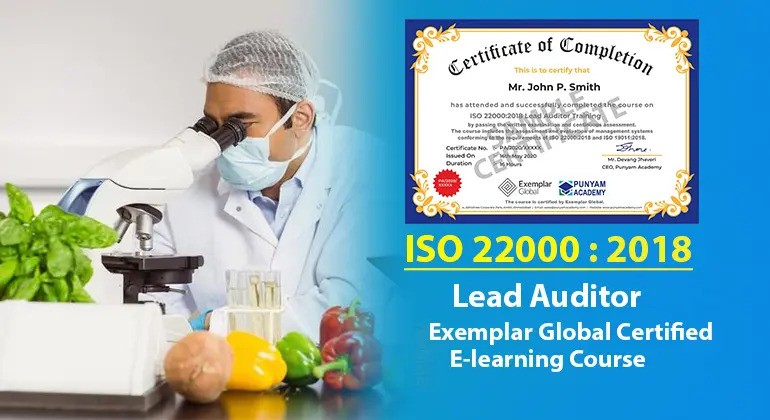 How to Document Nonconformities in ISO 22000 Audits