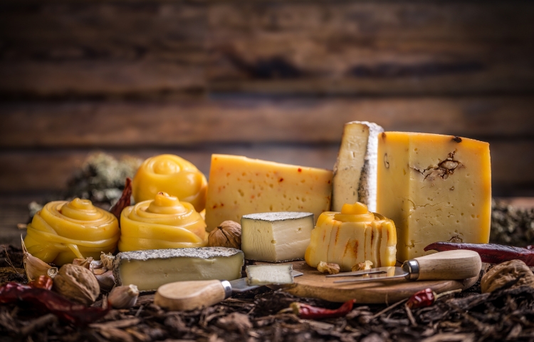 Discover the Flavorful World of Mexico’s Cheese Market