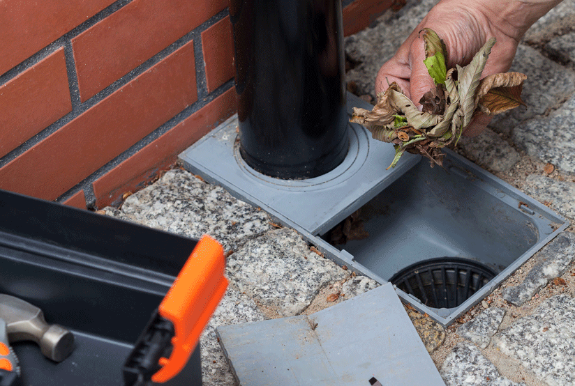 What’s Hiding in Your Pipes? You Probably Don’t Want to Wait and See