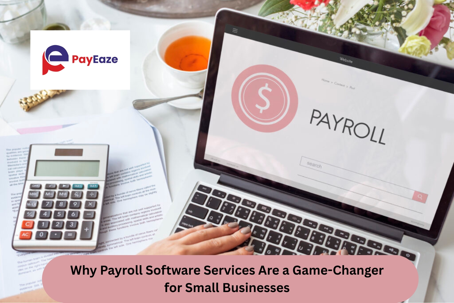Why Payroll Software Services Are a Game-Changer for Small Businesses