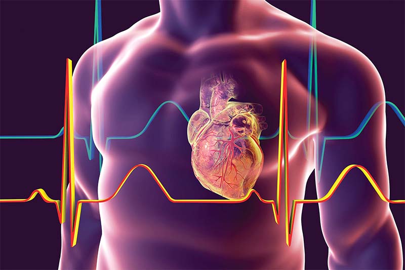 Dr. Sanjay Kumar: Leading Heart Specialist in Faridabad