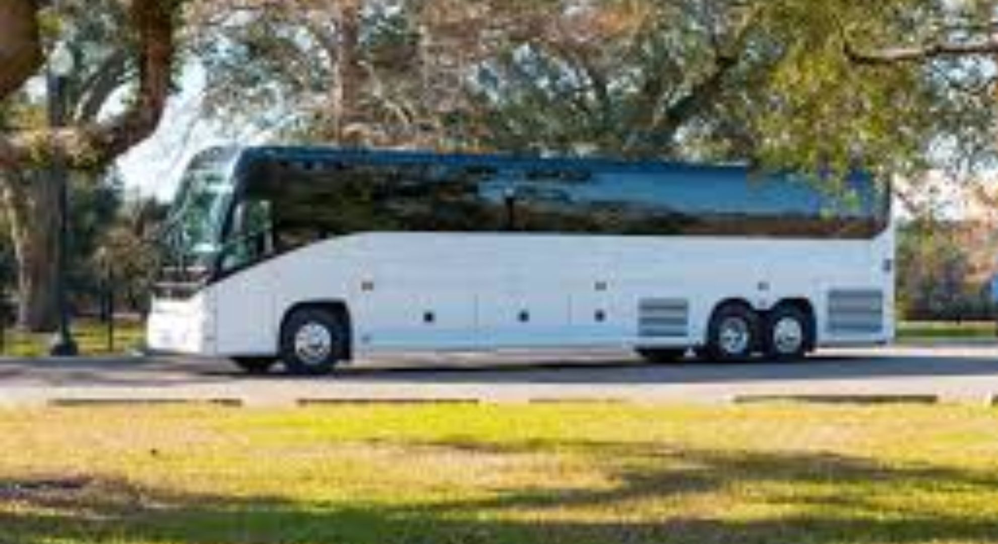 10 Creative Event Ideas That Are Perfect for a Party Bus Rental