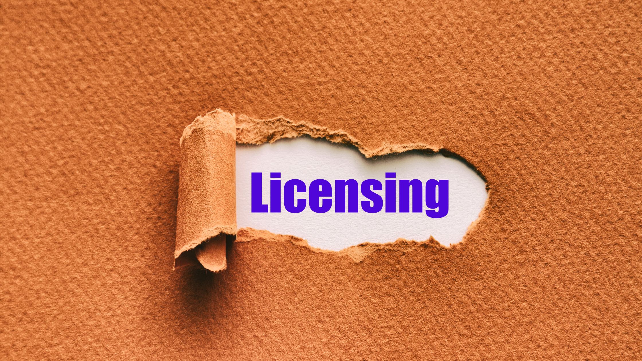 How to obtain a business license in Arizona?