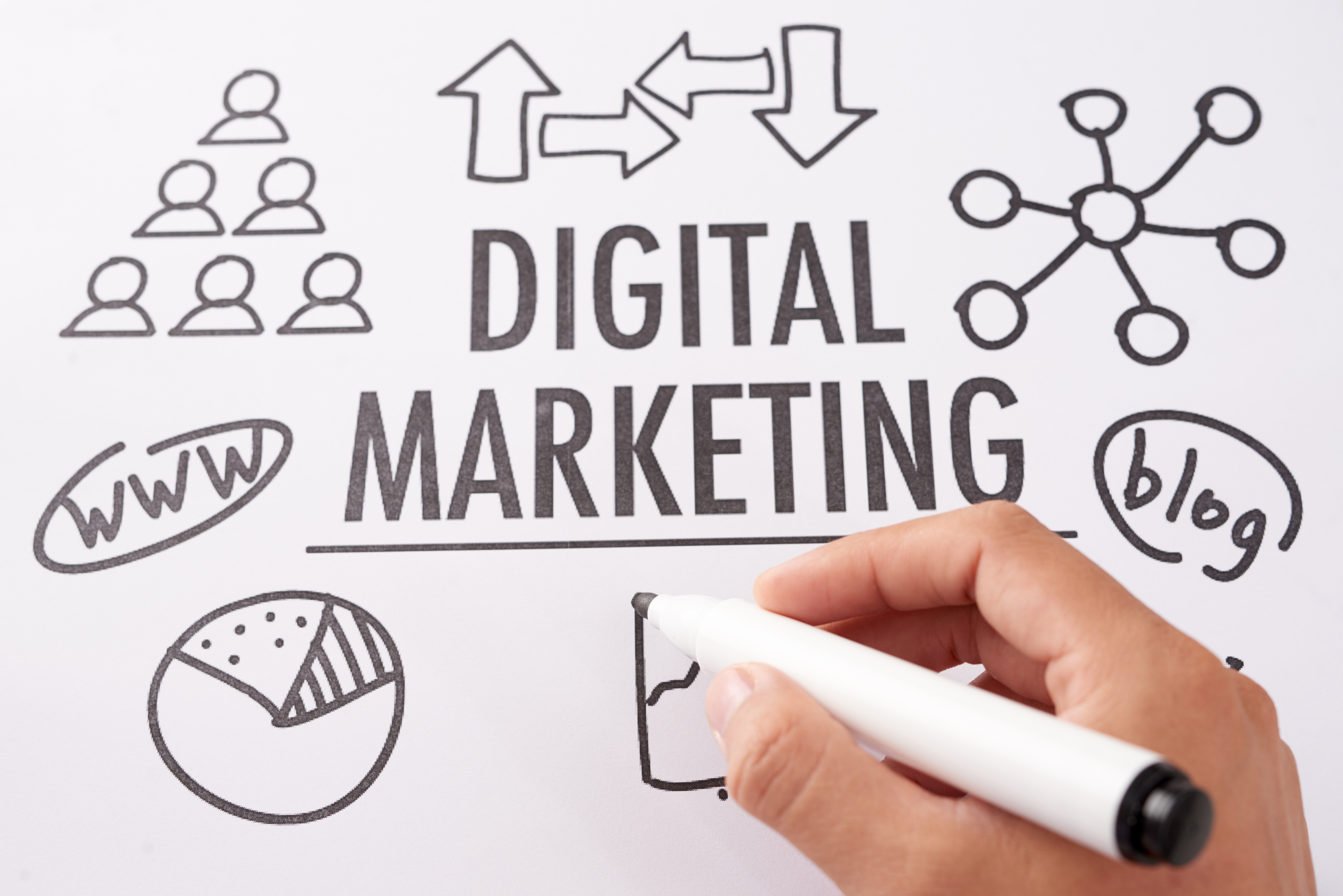 Why Your Business Needs a Digital Marketing Search Agency in Charleston, SC