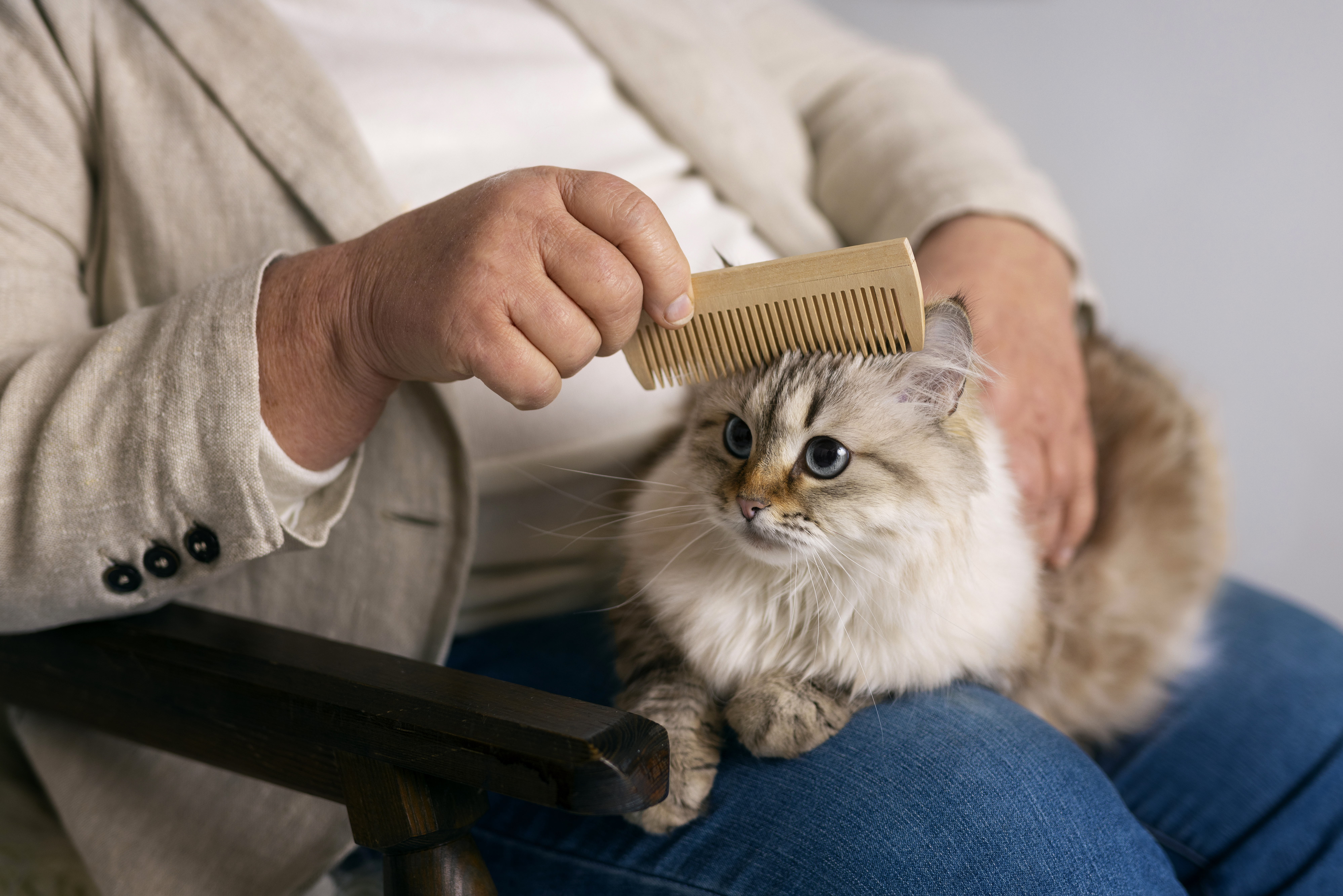 How to Help Your Cat with Hairballs Naturally