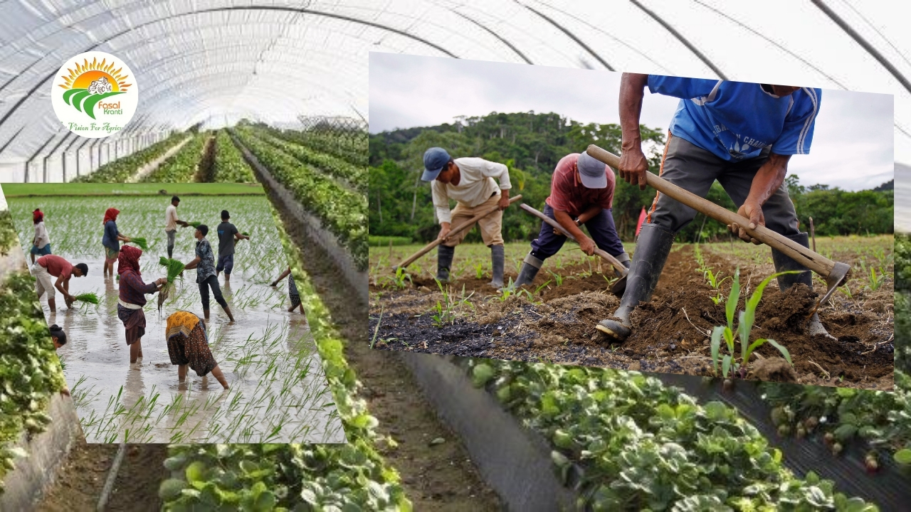 7 Powerful Ways an Agricultural Cooperative Changes Lives