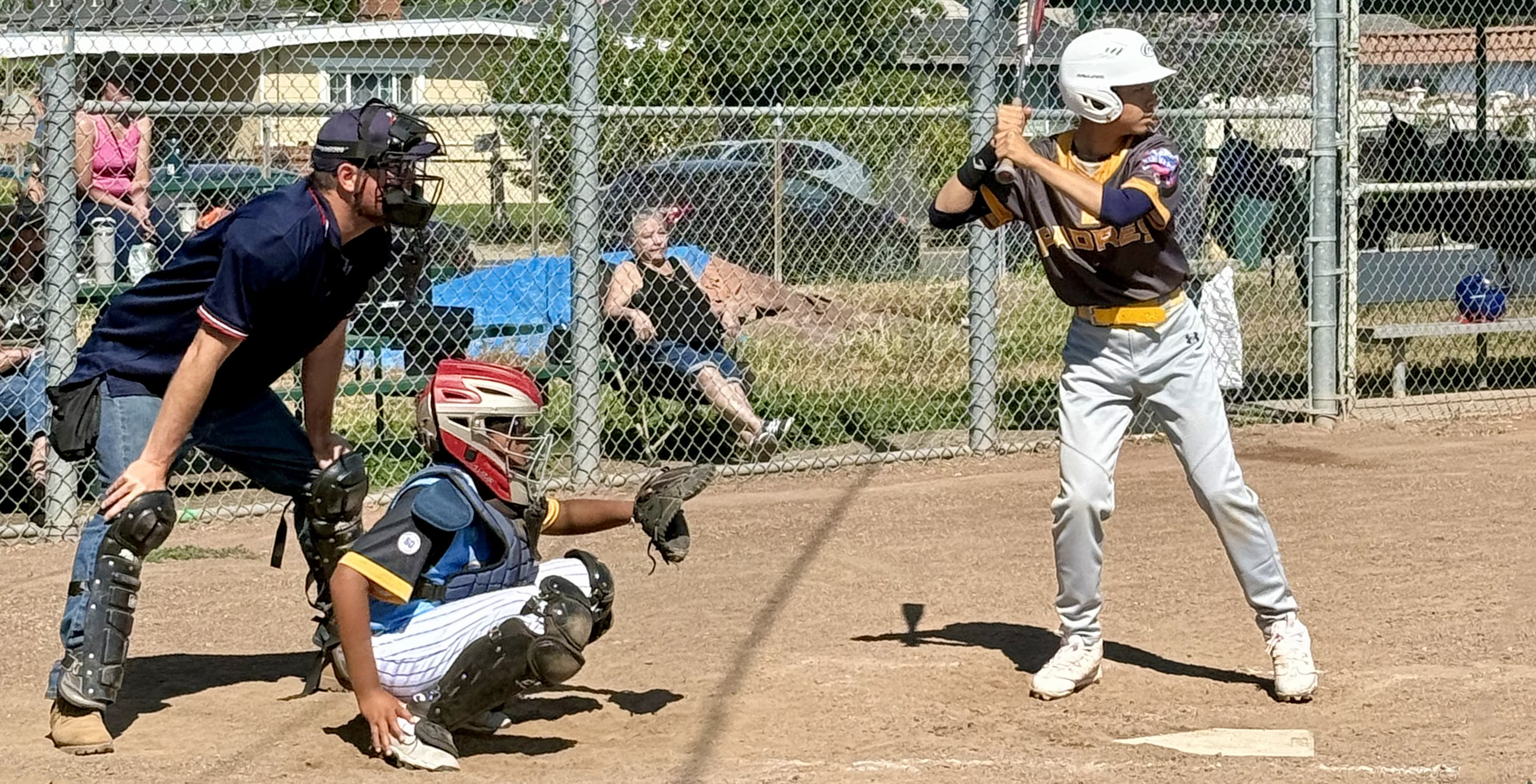 How to Choose the Perfect Baseball Chest Protector for Your Position