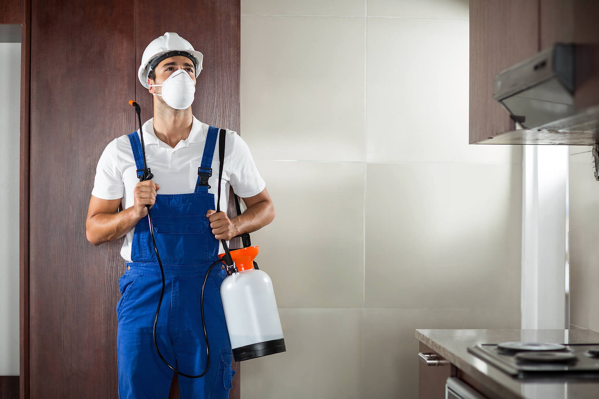 Biological Pest Control & Fumigation Services in Lahore