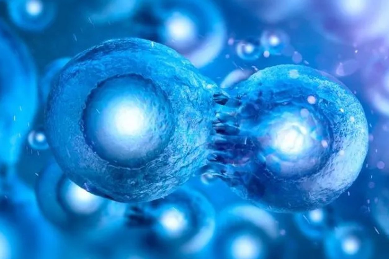 Stem Cells for Lupus Treatment: A New Frontier in Autoimmune Care