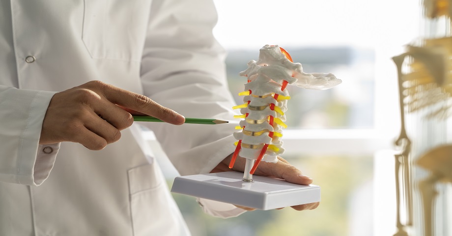 Global Spinal Navigation Technologies: Market Dynamics and Key Players