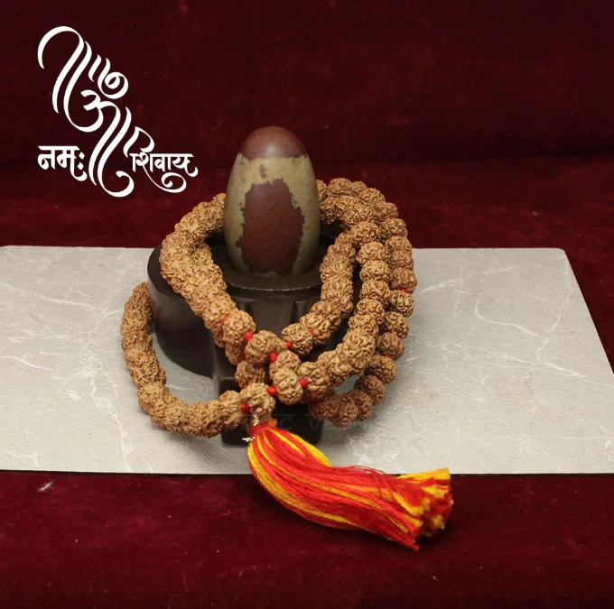 Vishnu Sudarshan Chakra