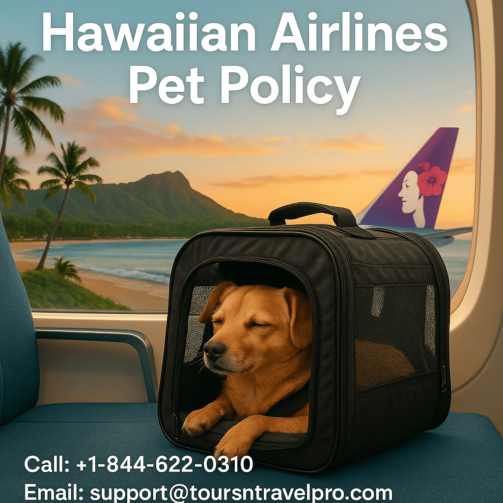How Hawaiian Airlines Pet Policy Saved Our Vacation