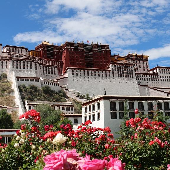 Discovering the Spiritual and Cultural Wonders of Lhasa Tours