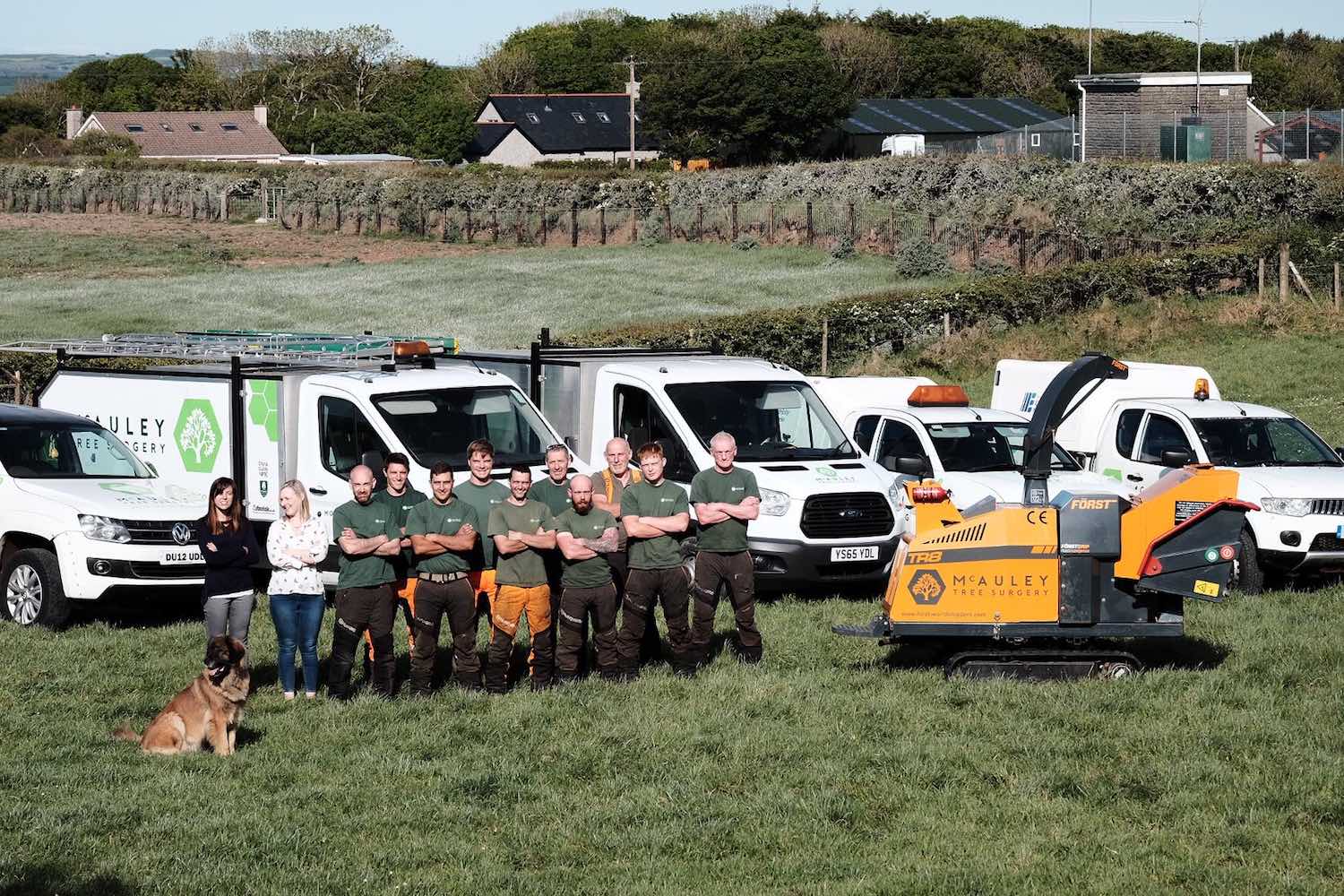 Trusted Tree Experts for Safe Tree Removal in Belfast
