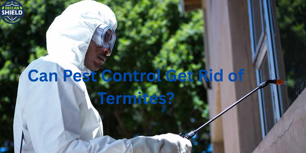 Can Pest Control Get Rid of Termites?
