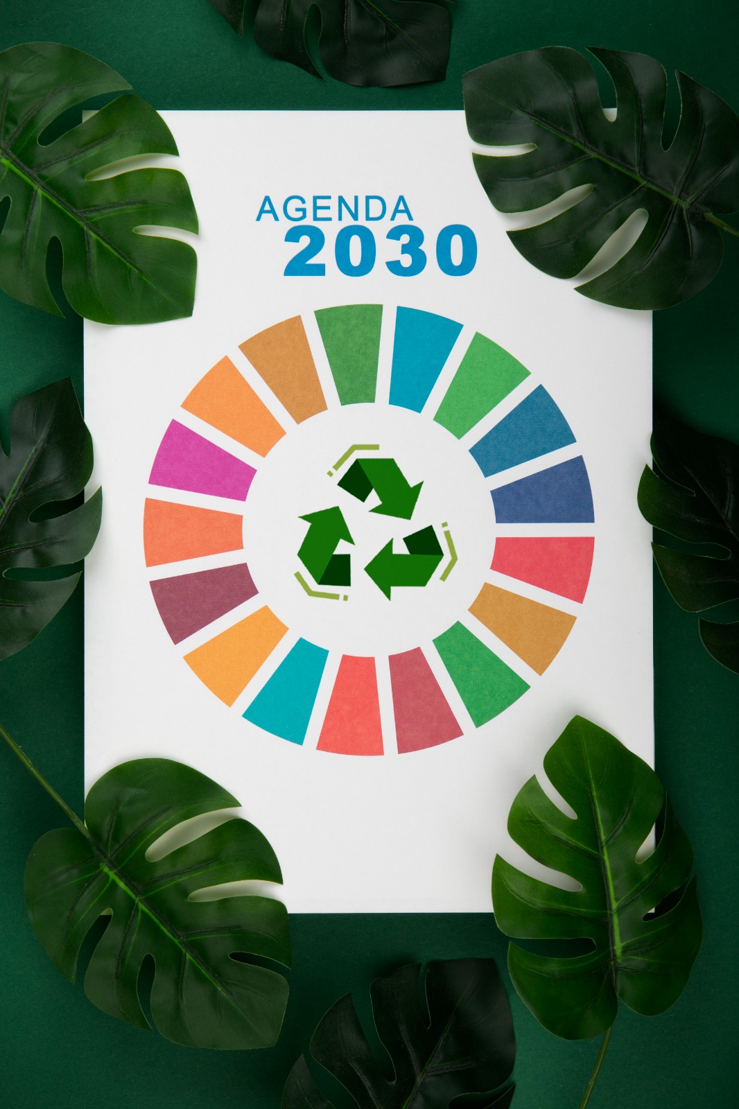 Why Every Forward-Thinking Brand Needs an ESG Report Design Agency