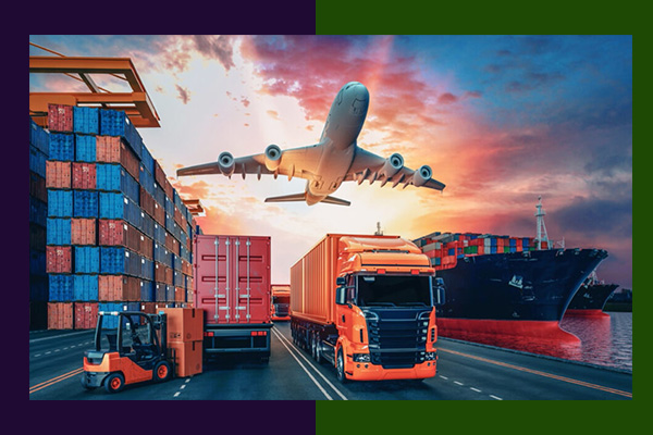 How Islamabad Became a Hub for Import Export Training – Here's What You Need to Know