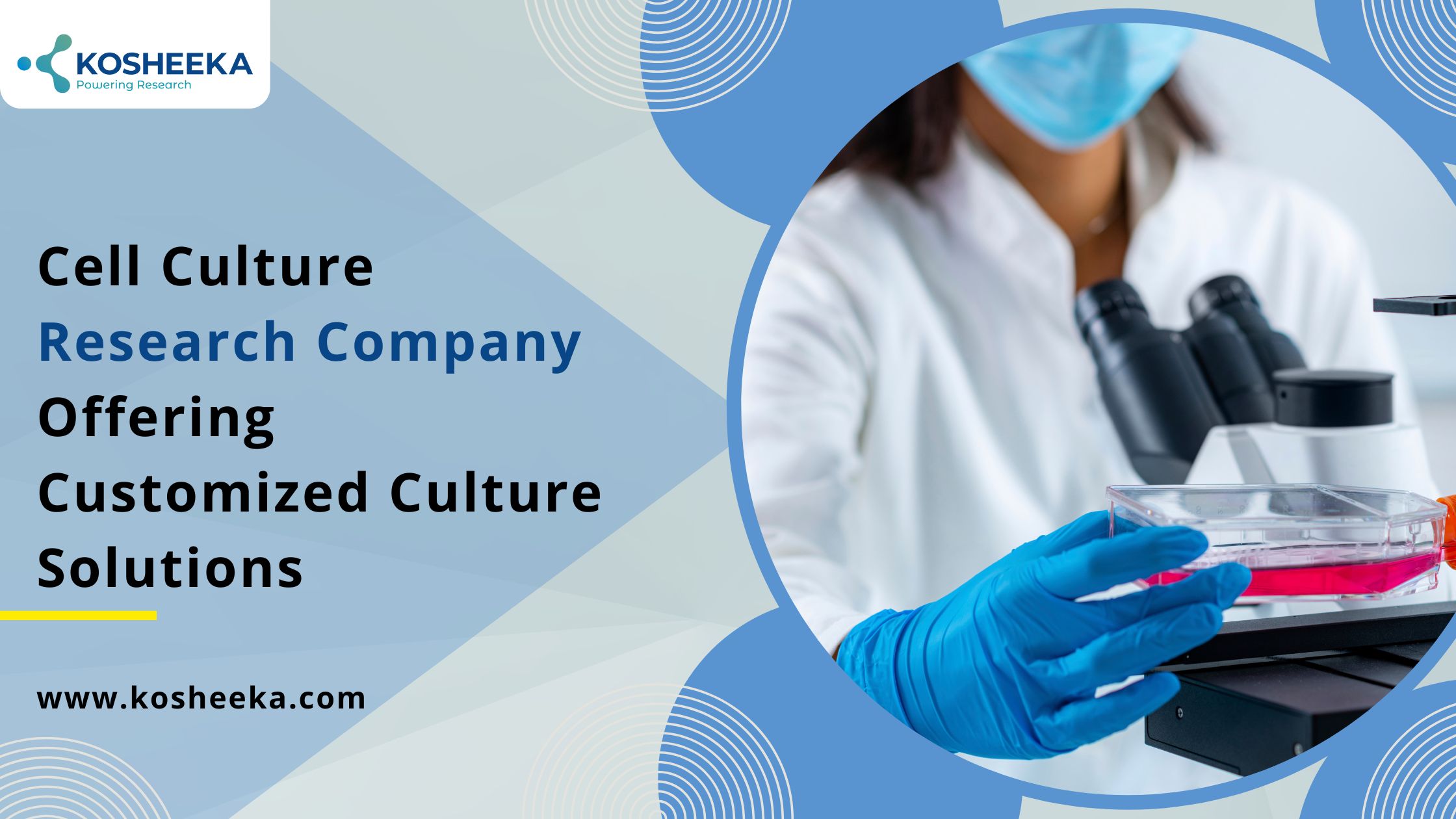 Cell Culture Research Company Offering Customized Culture Solutions