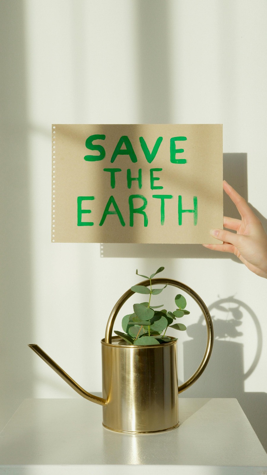 Your Market Is Your Audience: How Eco-friendly Promotional Products Increase Brand Awareness