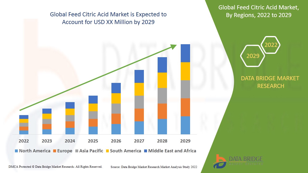Feed Citric Acid Market: Enhancing Animal Nutrition with Natural Acidulants