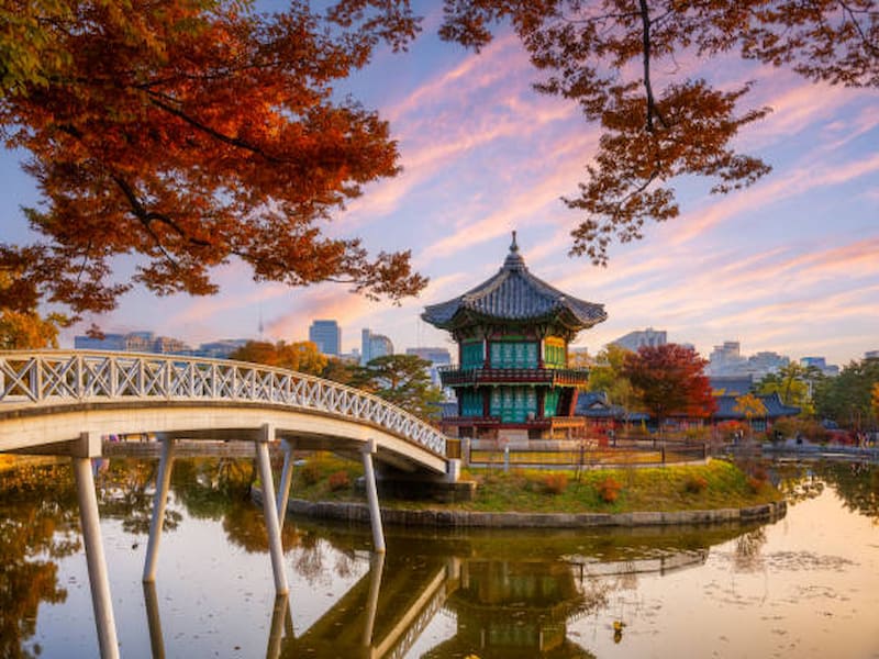 South Korea Bucket List: 8 Must-Visit Spots for First-Time Travelers