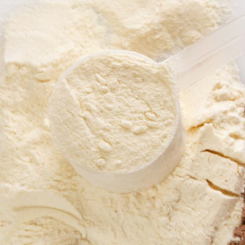 Rice Protein Manufacturing Plant Report 2025: Project Details, Machinery Requirements and Cost Involved