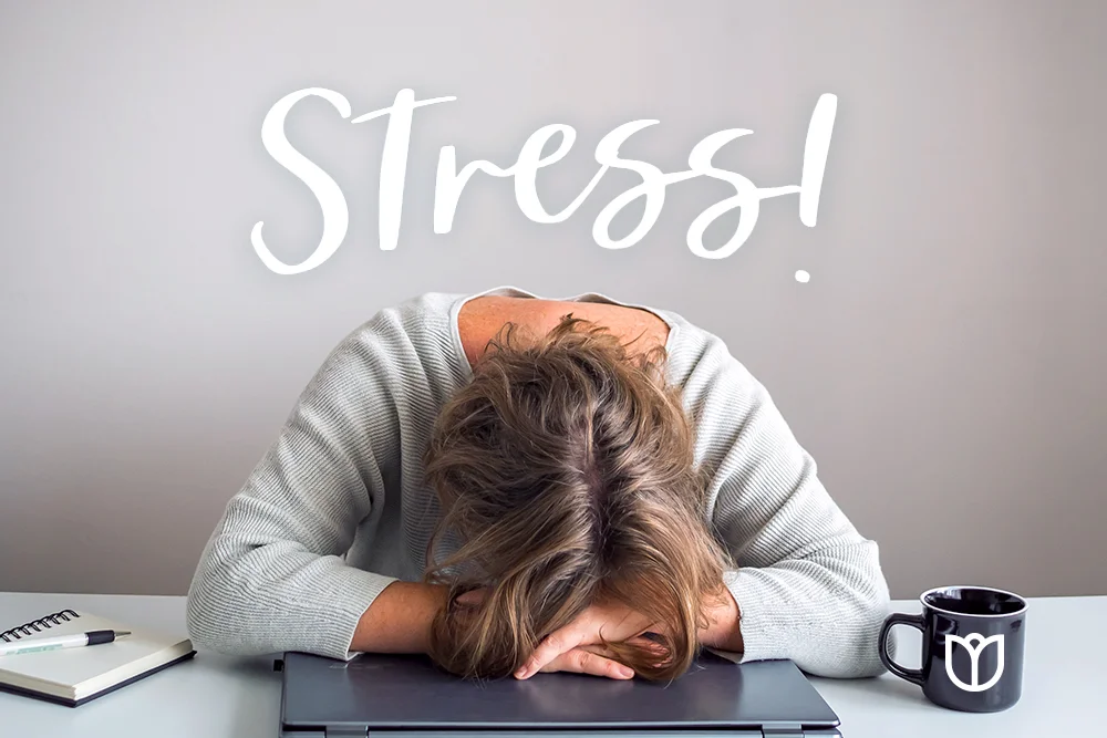 Stress Management Strategies for Work, Life & Mental Health Balance