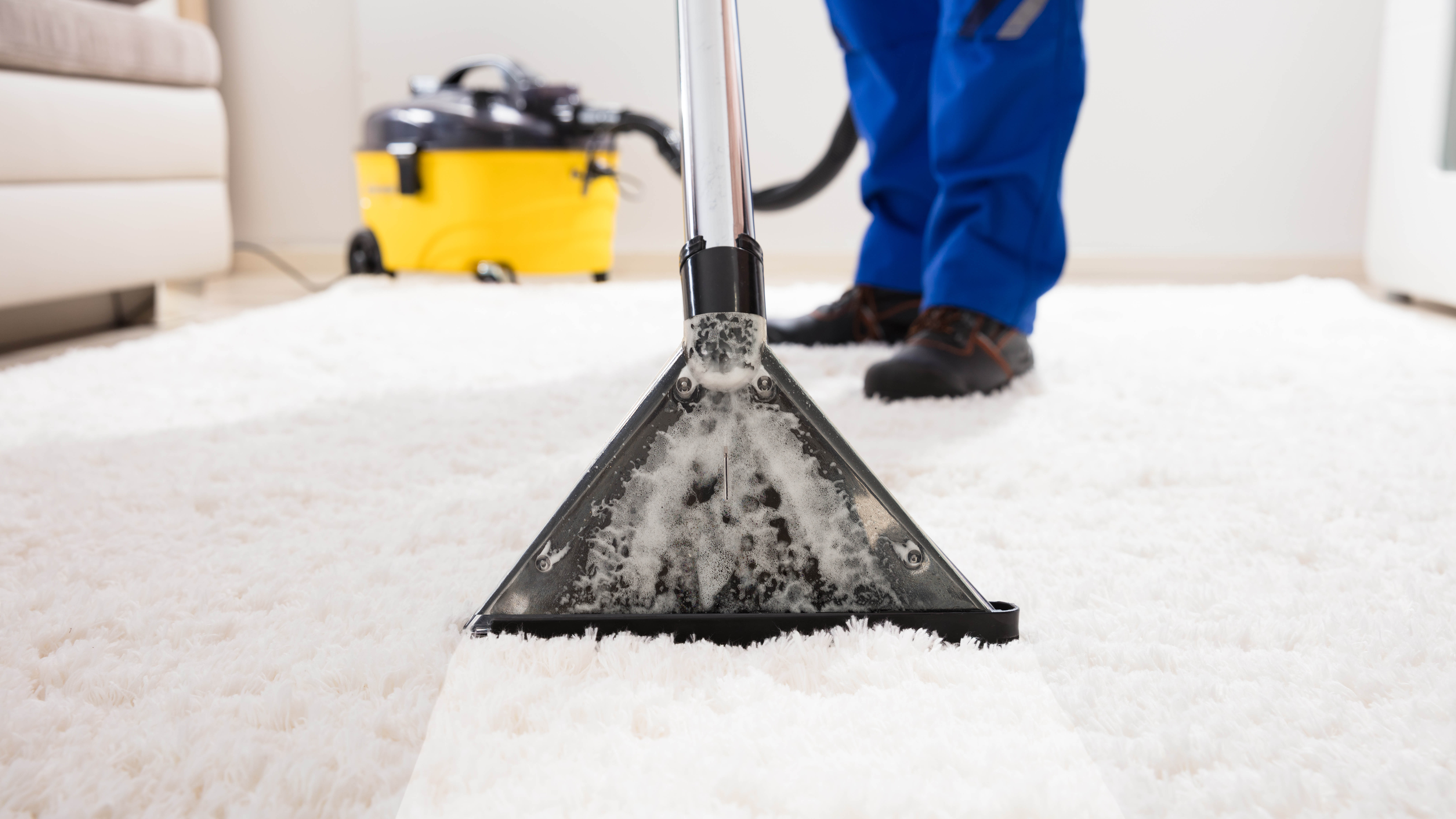 How Often Should You Schedule Carpet and Rug Cleaning in Prescott Valley AZ
