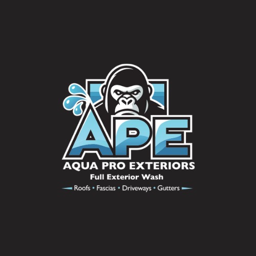 Transform Your Home’s Curb Appeal with Professional House Pressure Washing by Aqua Pro Exterior LTD