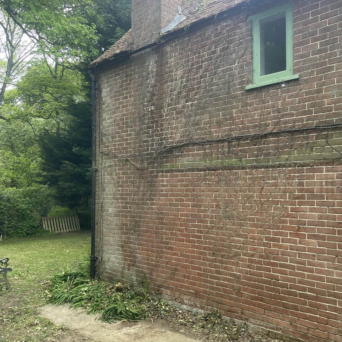Professional Moss Removal in Surrey: Protect Your Property with APE Cleaning