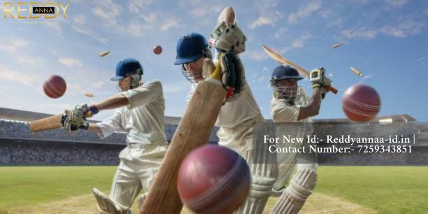Stay Ahead in 2025 with Reddy Anna Online Book: Get the Latest Cricket Scores, Sports News, and Real-Time Match Insights.