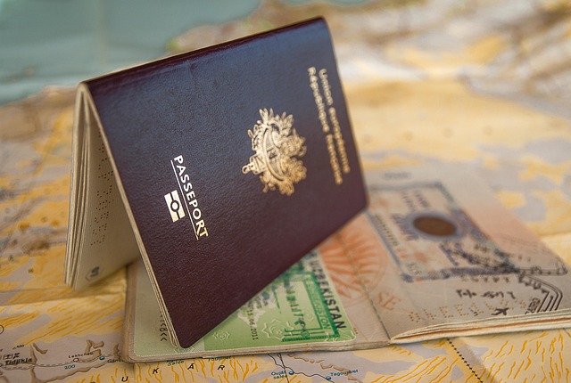 How to Check Saudi Visa