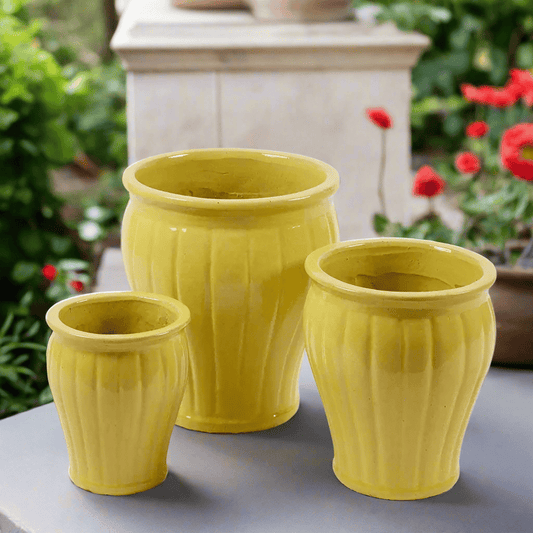 Designer Vases: Elevate Your Home Décor with Artistic Elegance