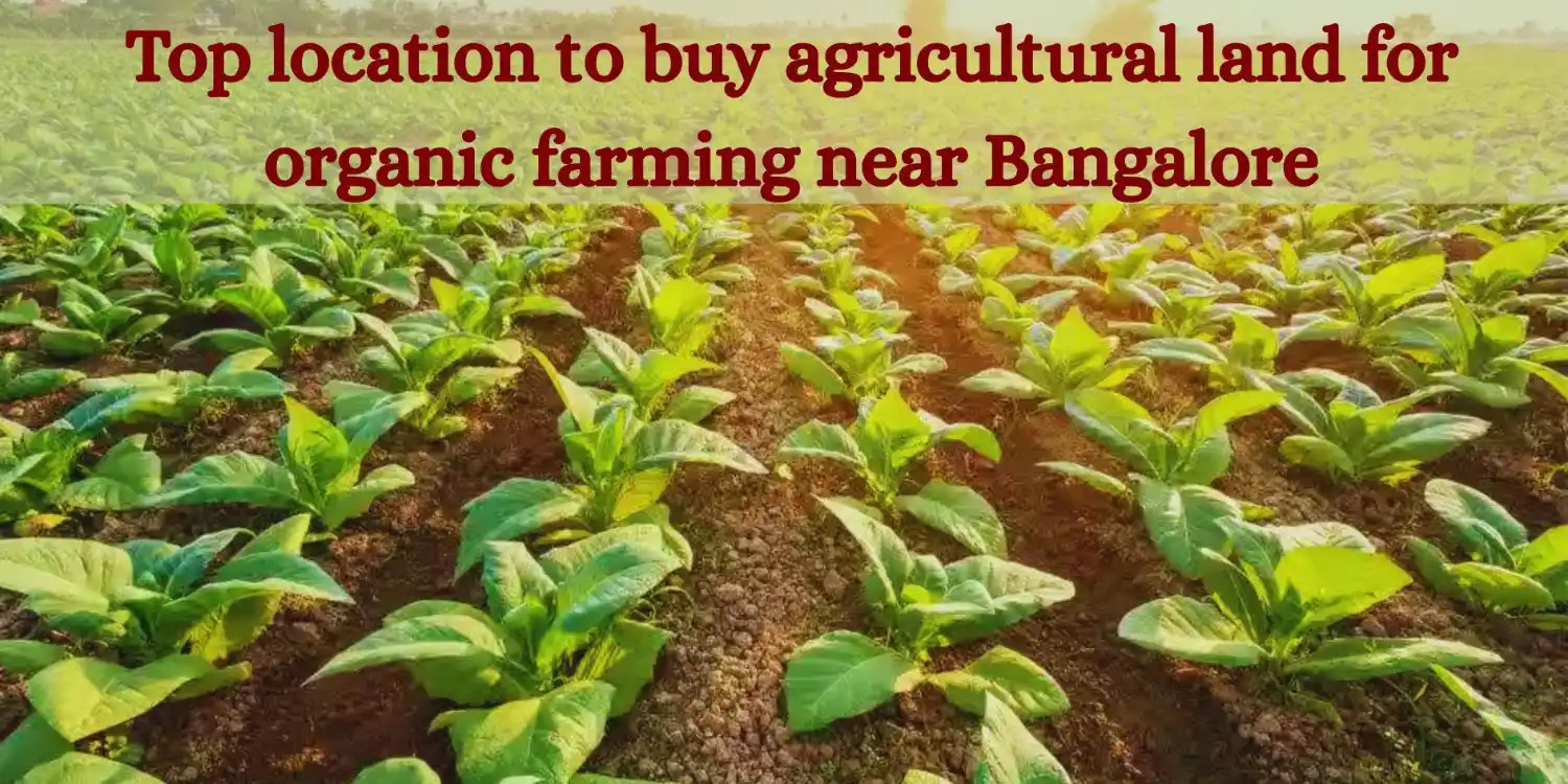 Top location to buy agricultural land for organic farming near Bangalore
