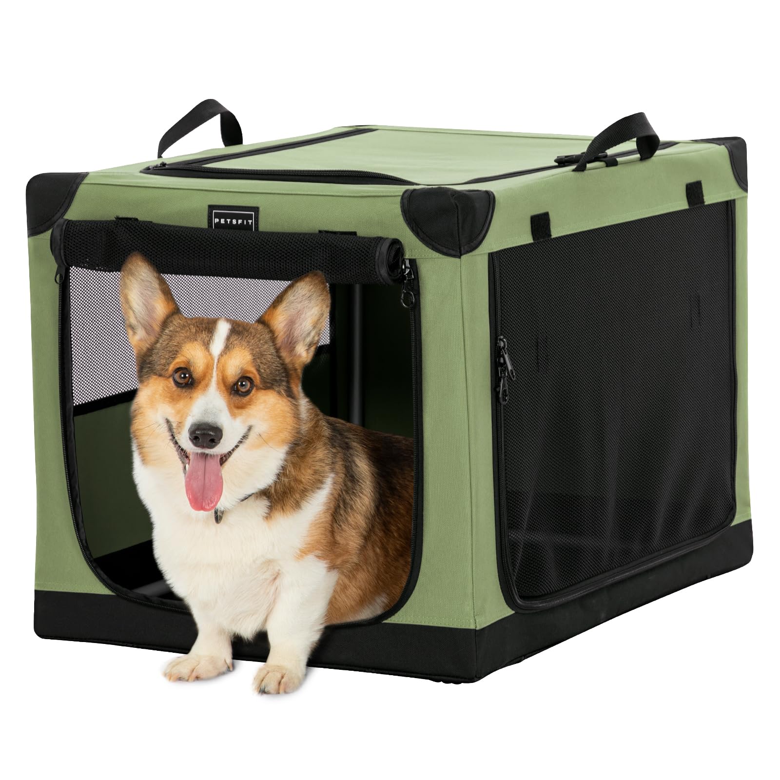 Pet Transport Sydney: Safe, Reliable, and Stress-Free Travel for Your Furry Friends