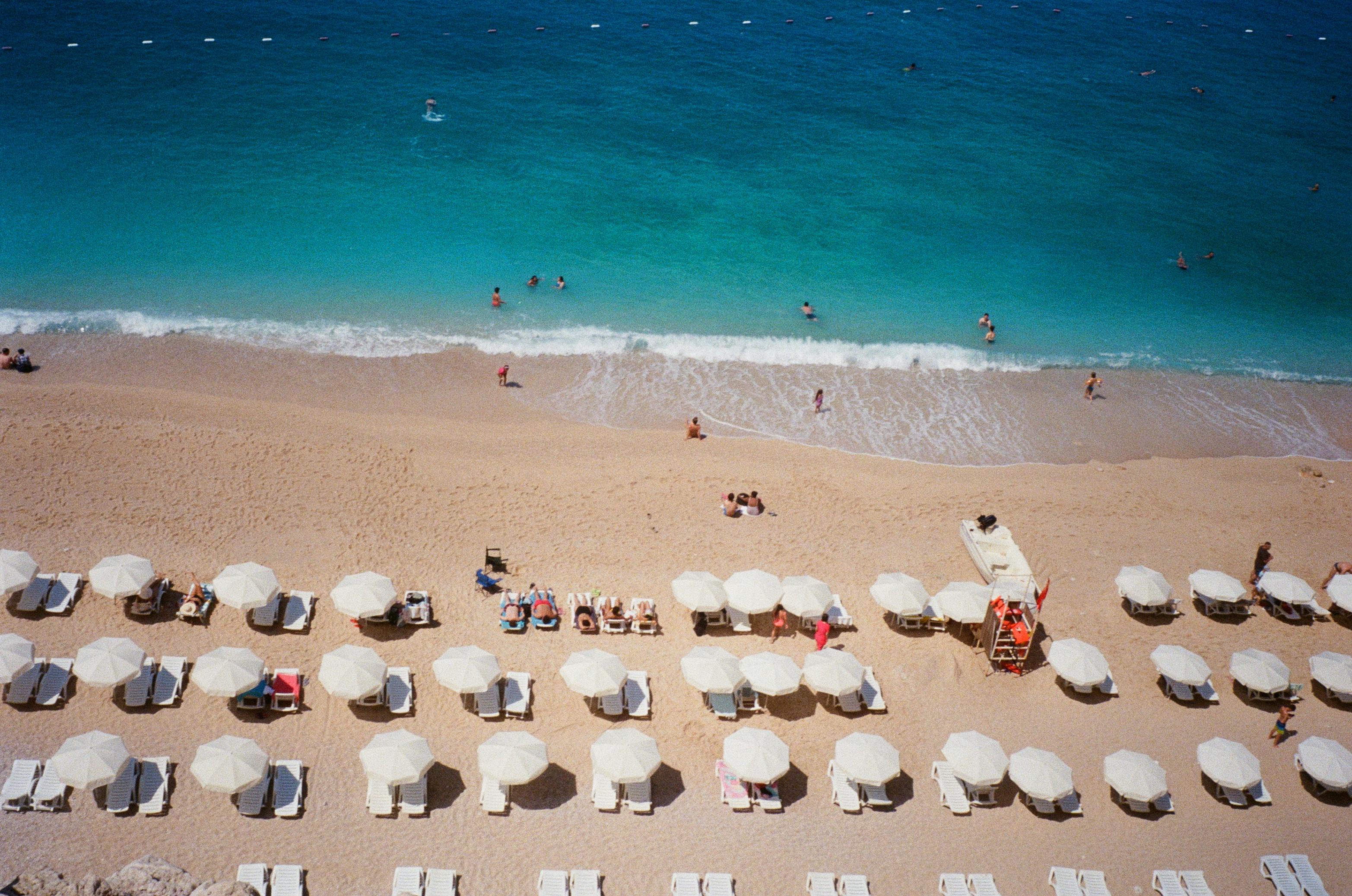 Natural Tanning Oils vs. Chemical Tanners: What’s Safer?
