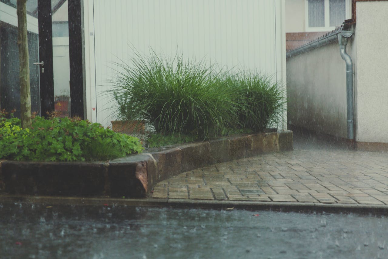 Designing for Climate Resilience: How Architecture Is Responding to a Changing Planet