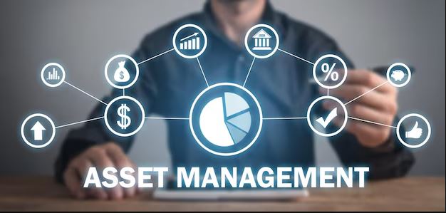 Canada Asset Management Market Segmentation & Growth Outlook 2025-2033
