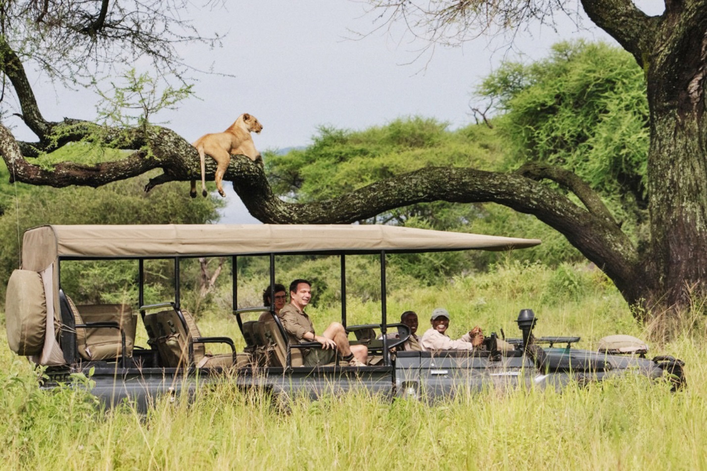 Go For The Amazing Professionally Guided Safaris In Kenya