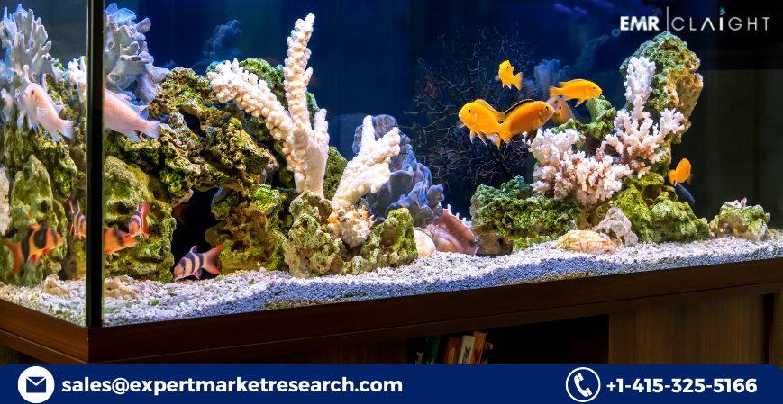Aquarium Accessories Market Size, Trends, Growth & Forecast 2025-2034