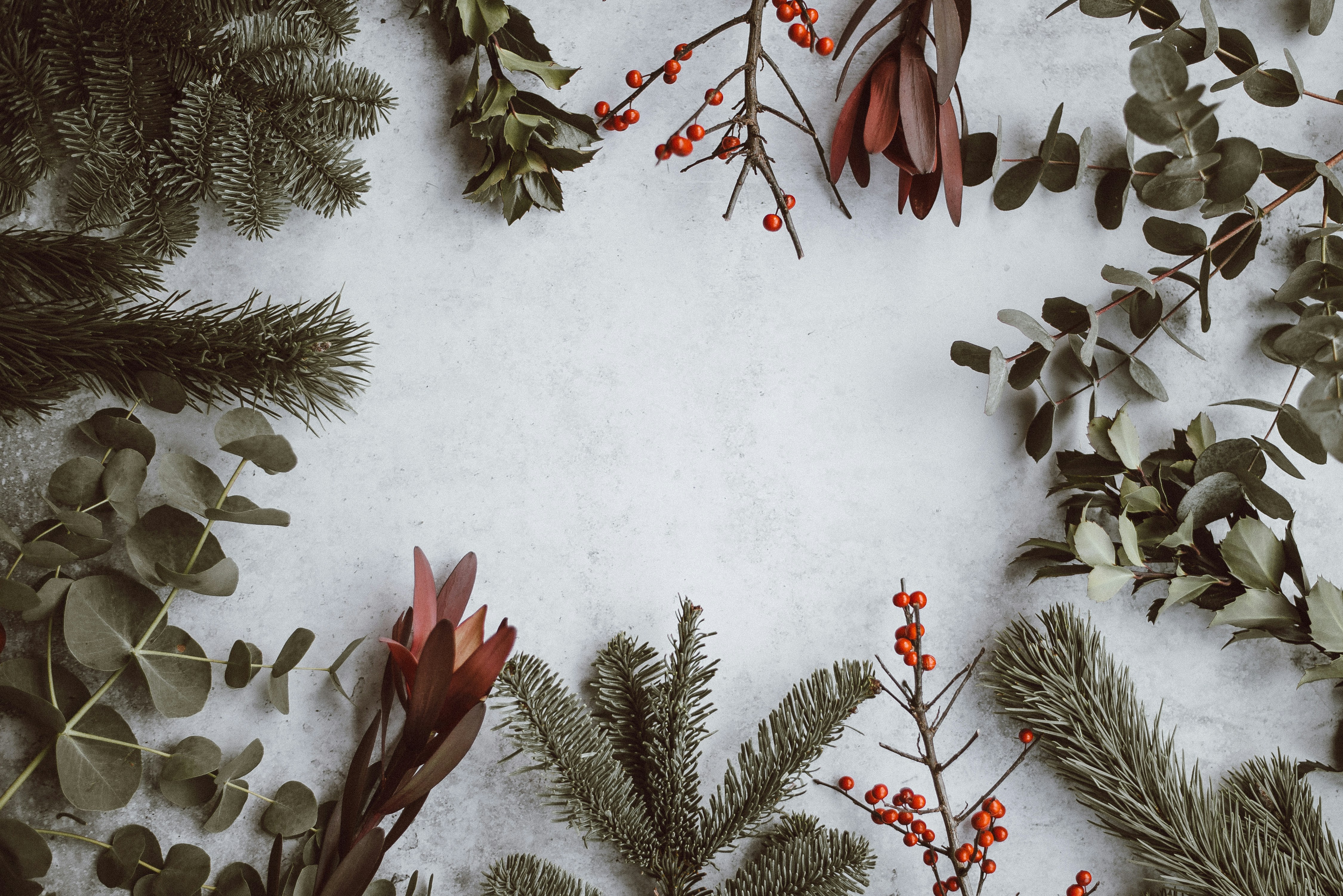Top 3 Christmas Clipart Designs To Decorate Your Files