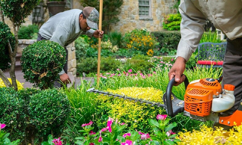 Affordable Lawn Maintenance That Delivers Quality | Great Dane Landscaping