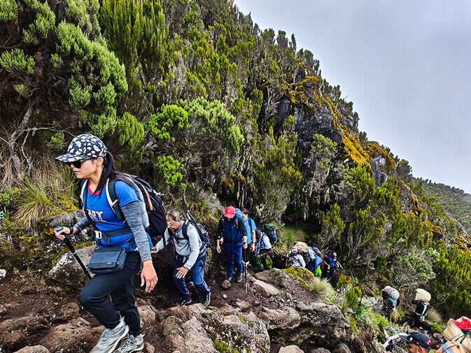 Everest Base Camp Trek — A Journey with Trek The Himalayas